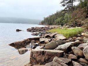 Example of the foggy weather often found in Acadia.