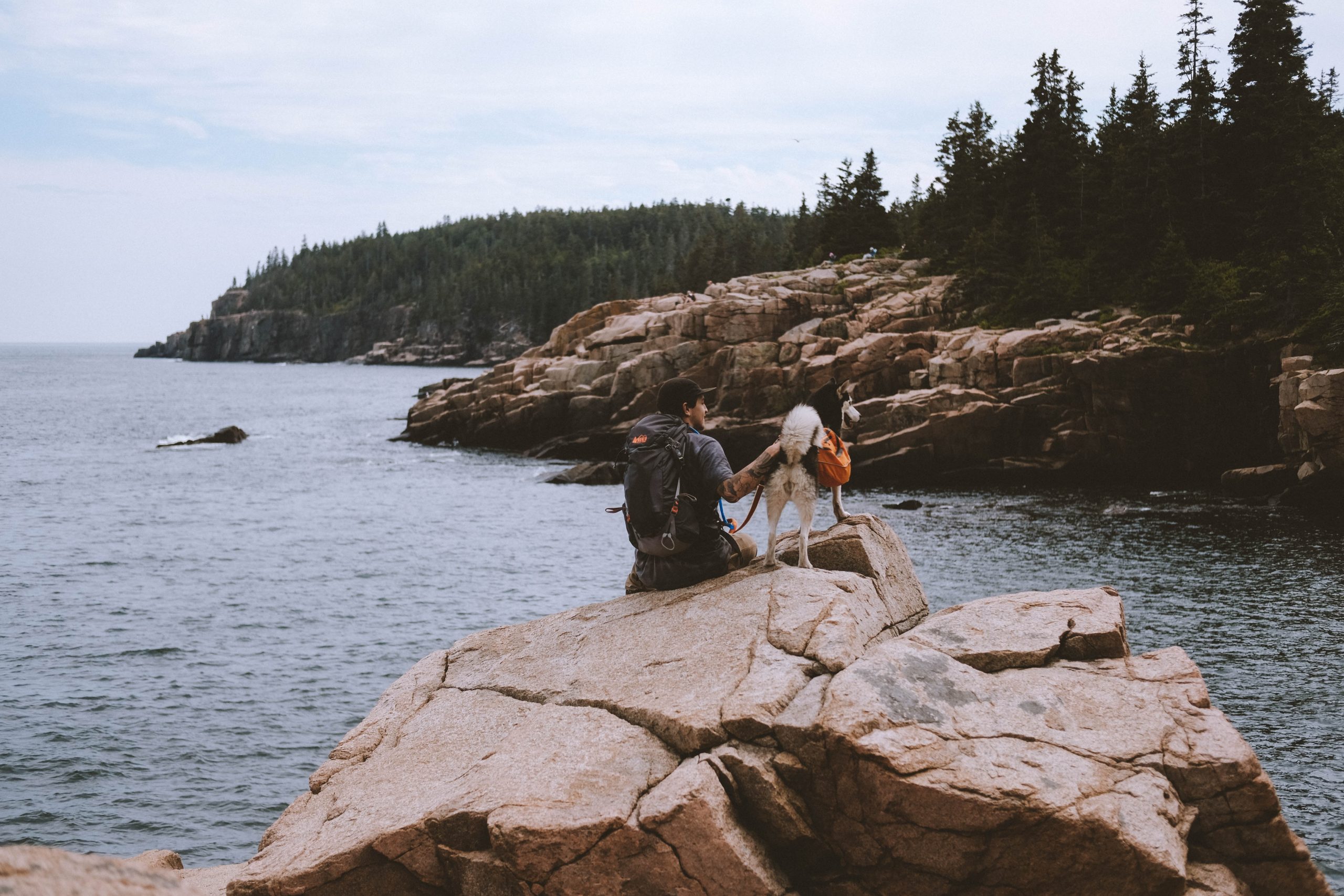 A man and his dog on a rock staring at the ocean.